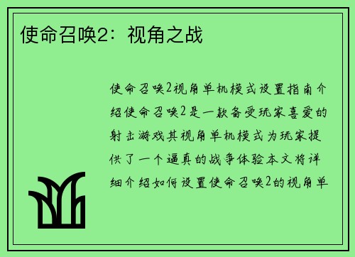 使命召唤2：视角之战